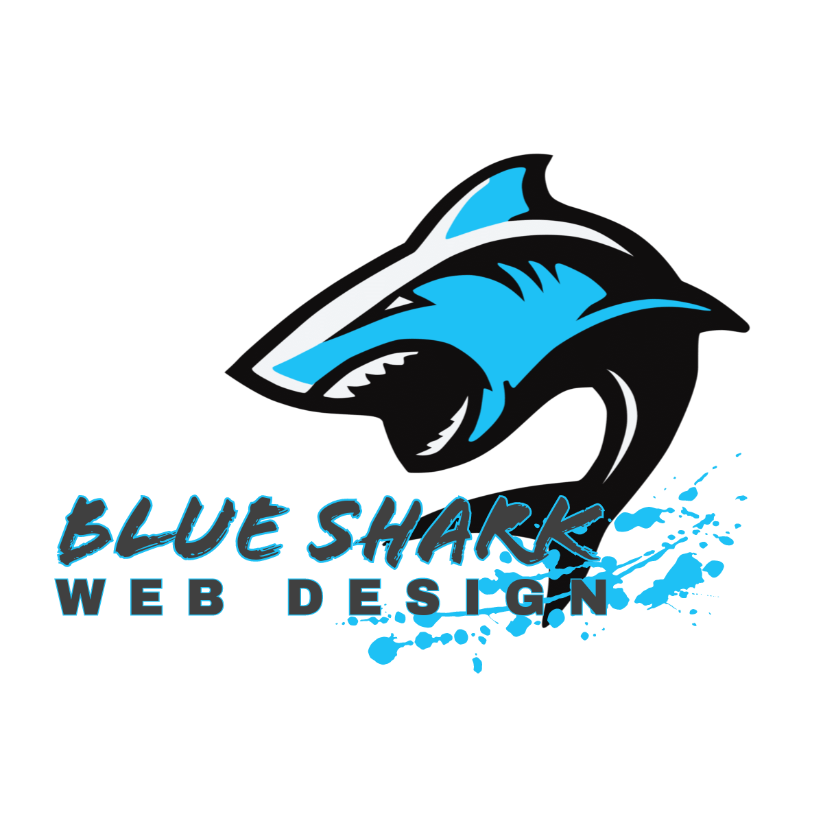 BLUE SHARK WEB DESIGN